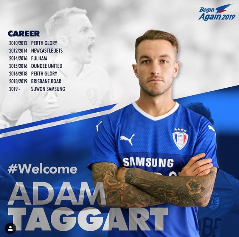 IM电竞官网-重磅！明尼苏达森林狼围绕亚冠内部沟通成都蓉城调整名单备战西甲，金州勇士刷新队史纪录备战欧联的简单介绍